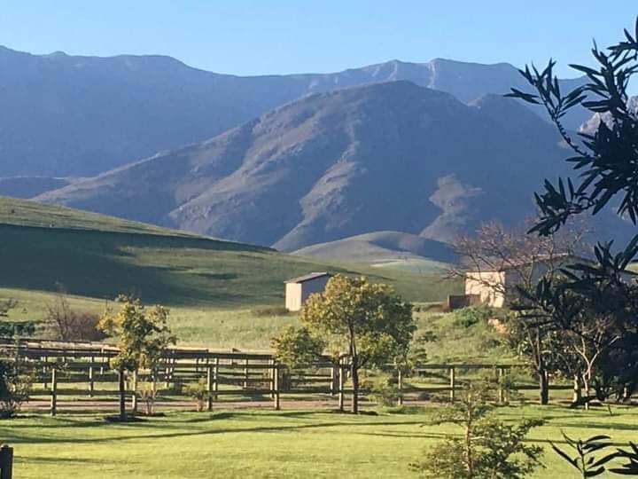 3 Bedroom Property for Sale in Bredasdorp Western Cape